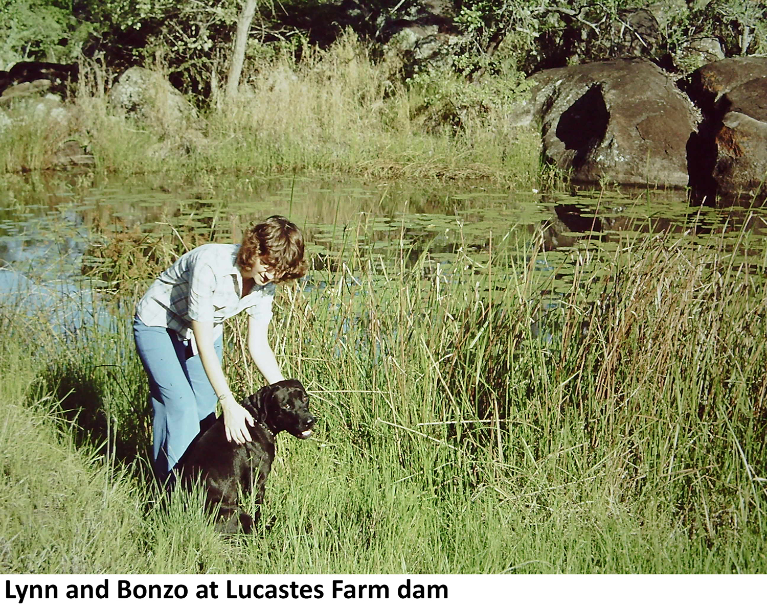 Lynn Chamney with Bonzo at Lucastes Farm dam wall